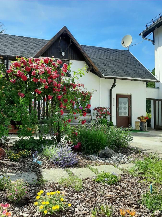 Ferienhaus Schoene Hohnstein Bagian luar foto